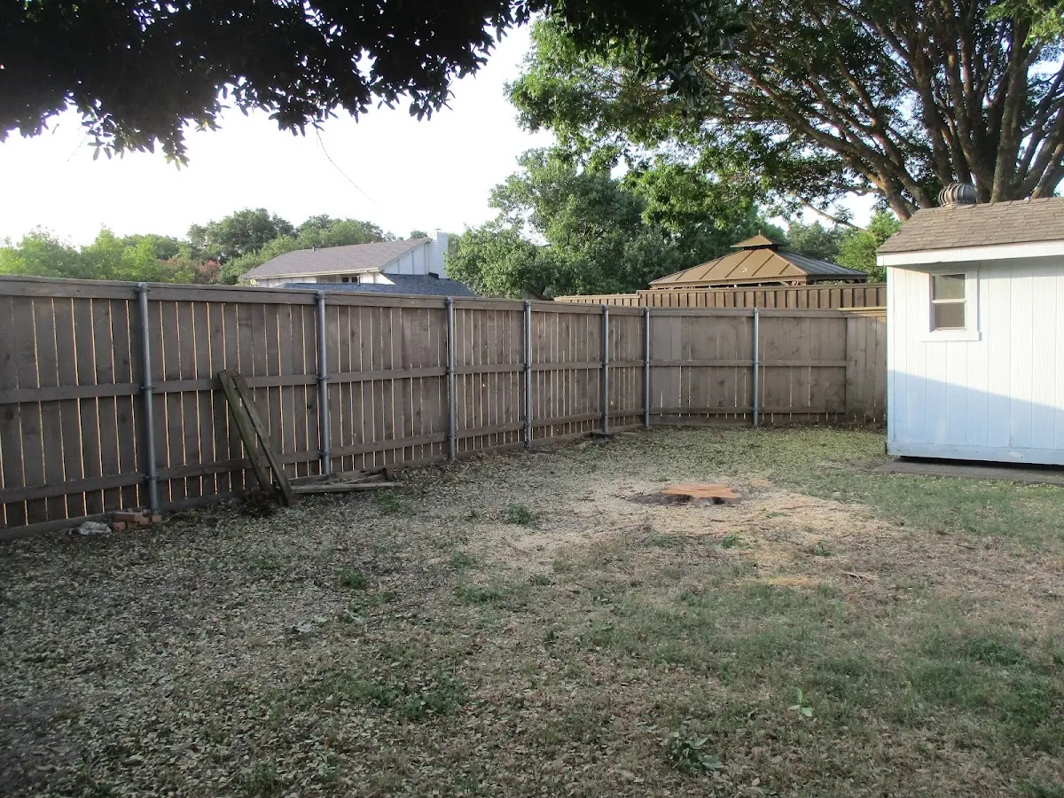 Cleared yard after professional tree removal in Alhambra